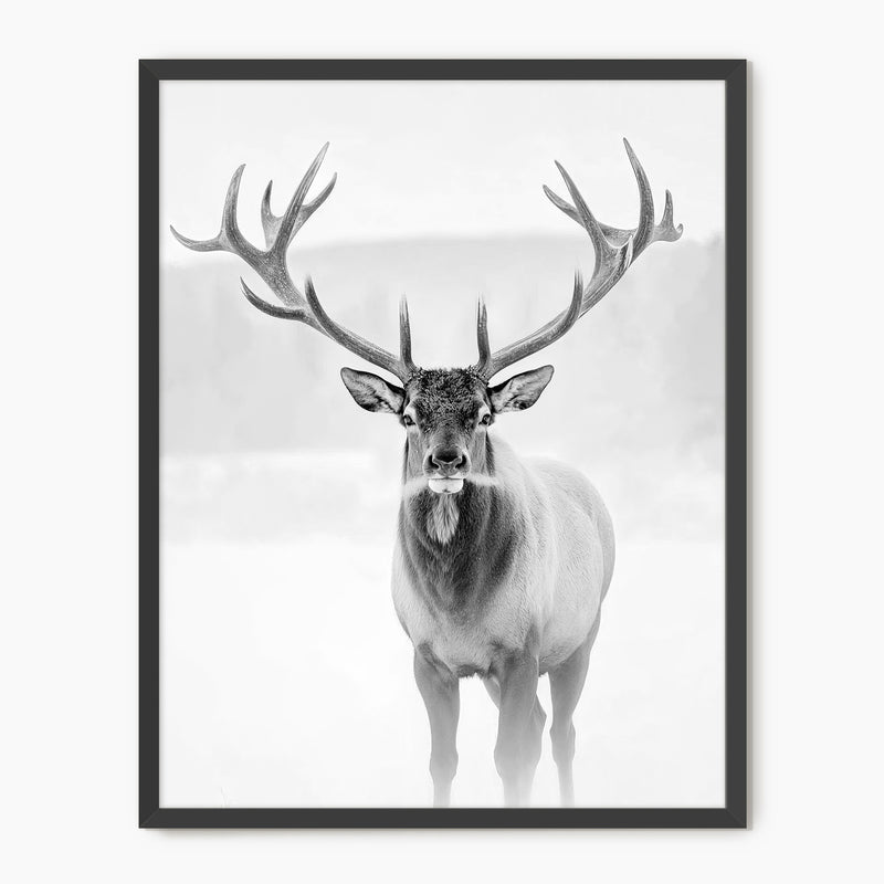 Deer in Winter Black and White Photo - Sage and Rose Prints