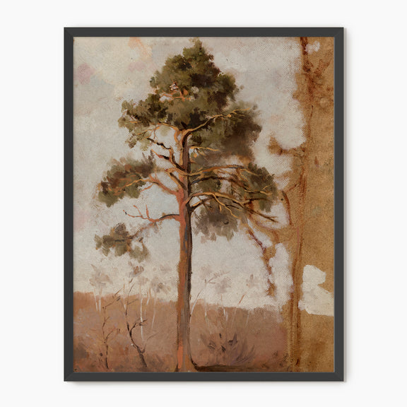Tree in the Evening Sunlight - Sage and Rose Prints