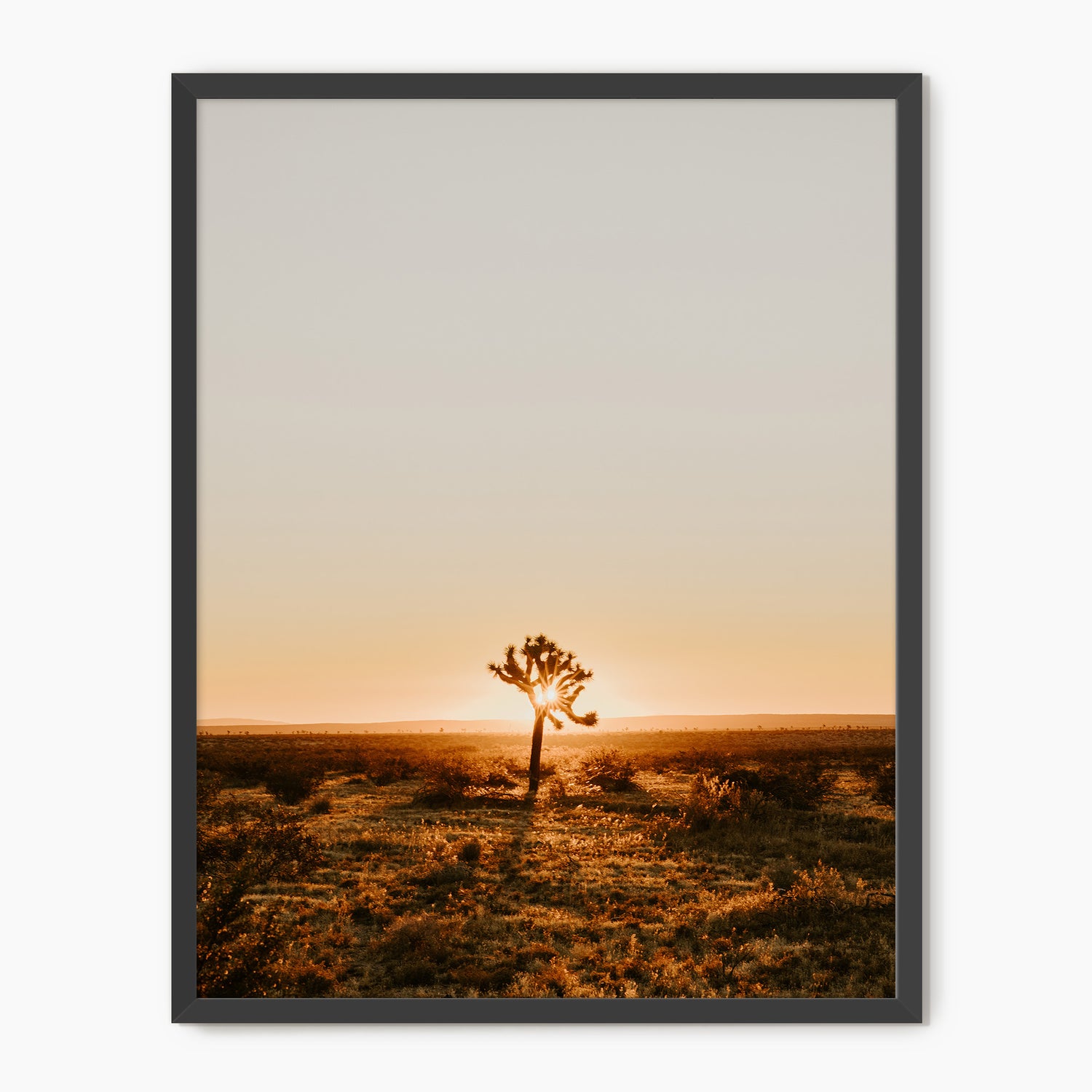Desert Rising - Sage and Rose Prints