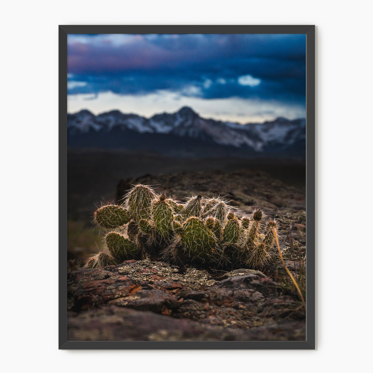 Desert Meets Mountain Photography - Sage and Rose Prints