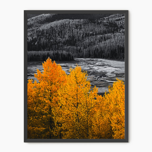 Fall Mountain Colors - Sage and Rose Prints