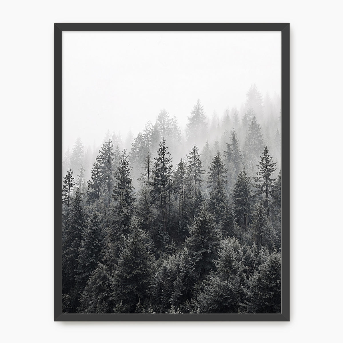 Misty Forest Ridge - Sage and Rose Prints