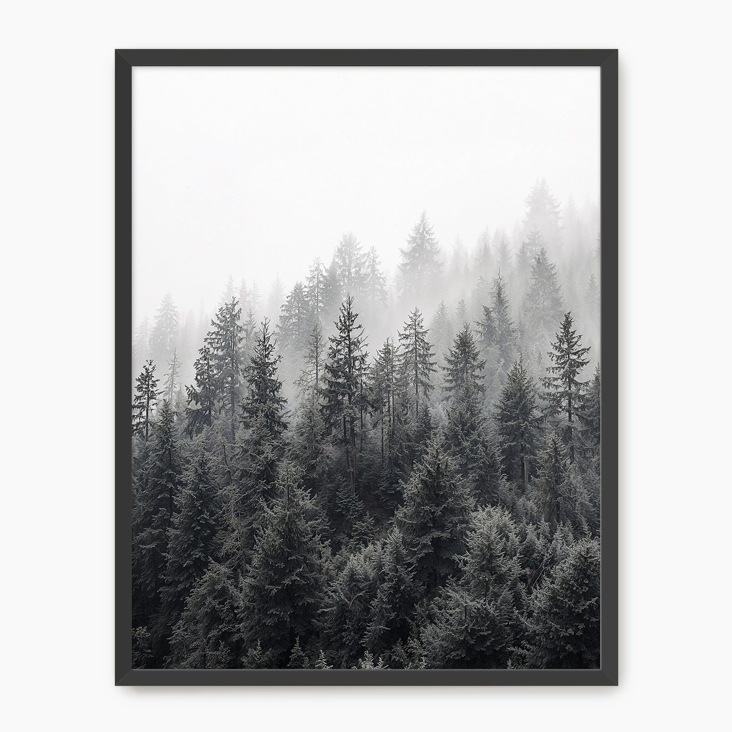 Misty Forest Ridge - Sage and Rose Prints