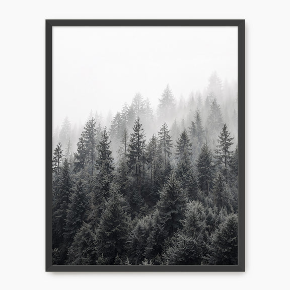 Misty Forest Ridge - Sage and Rose Prints