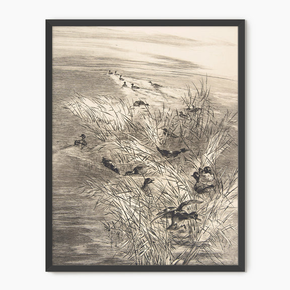 Vintage Ducks in the Grass Sketch C - Sage and Rose Prints
