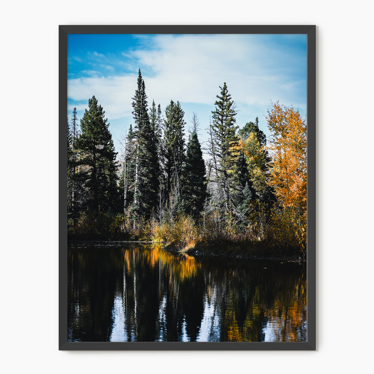 Serene Fall Photography - Sage and Rose Prints