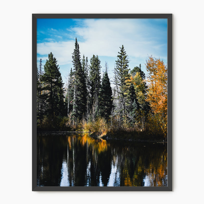 Serene Fall Photography - Sage and Rose Prints