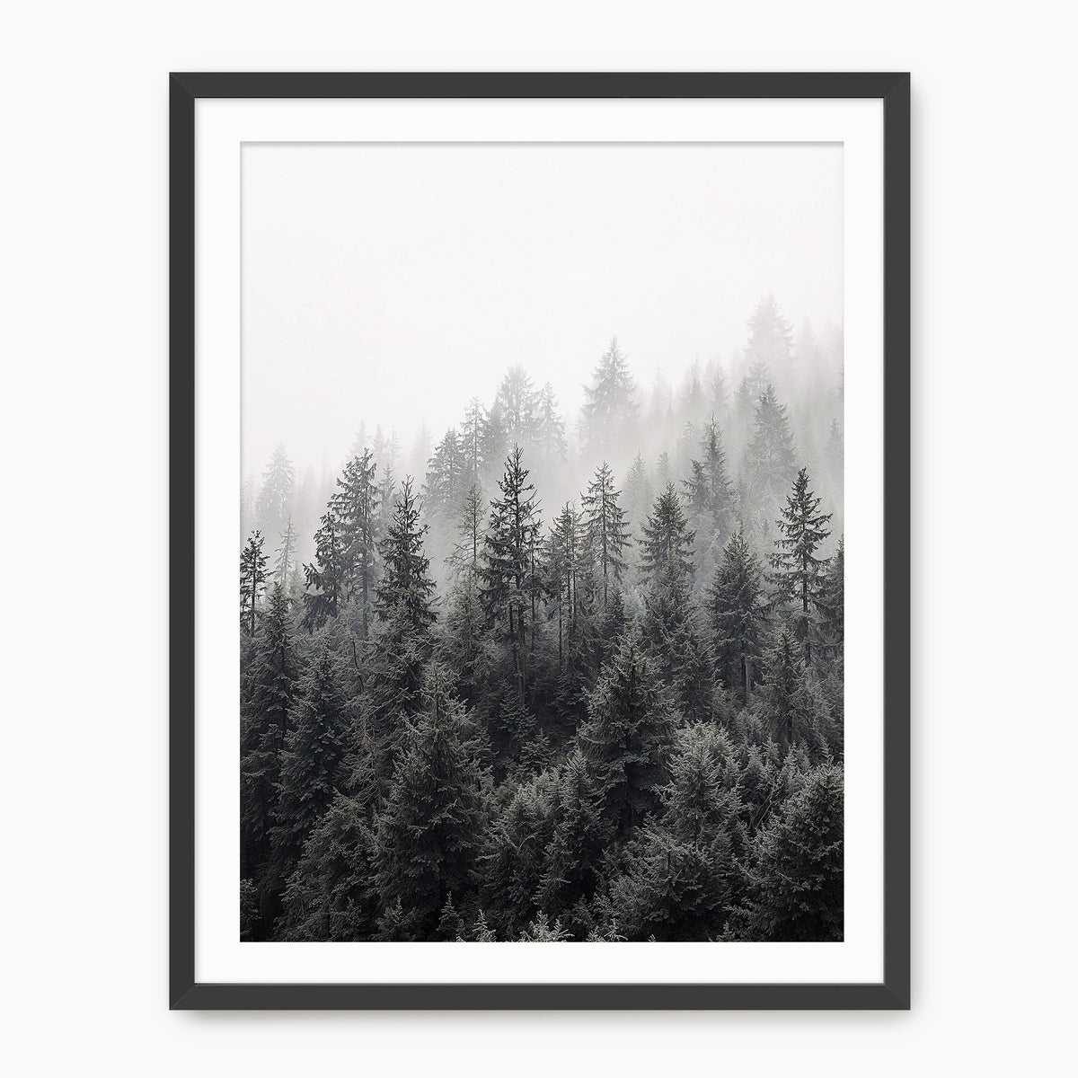Misty Forest Ridge - Sage and Rose Prints