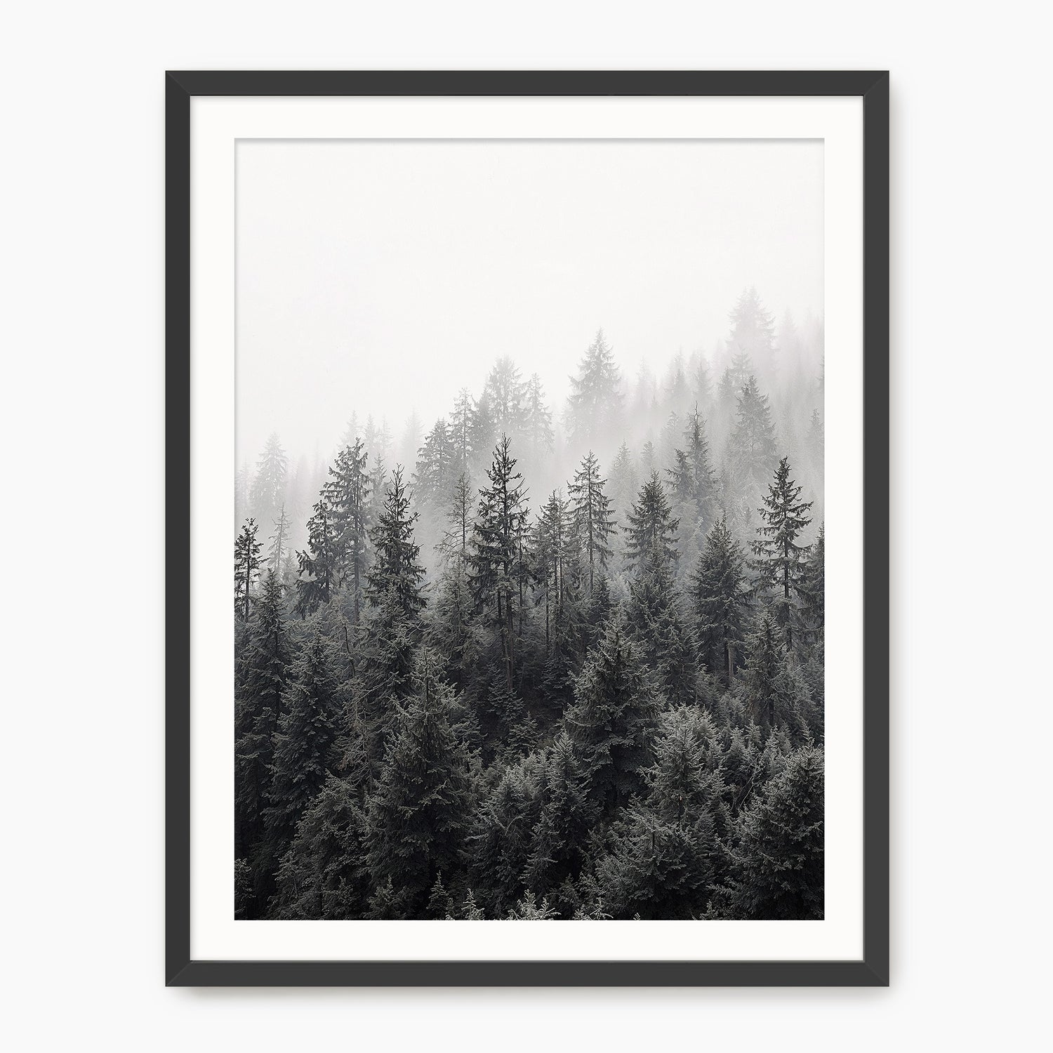Misty Forest Ridge - Sage and Rose Prints