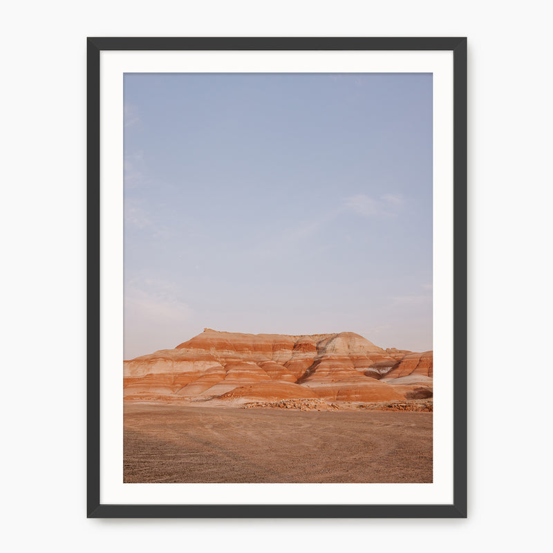 Desert Views - Sage and Rose Prints