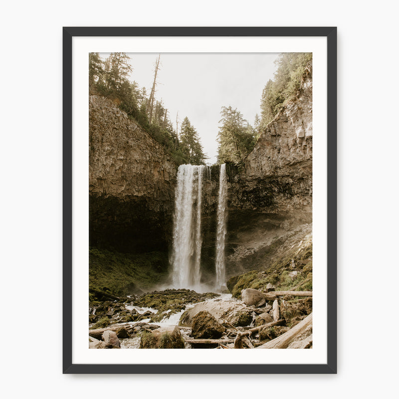 Falling - Sage and Rose Prints