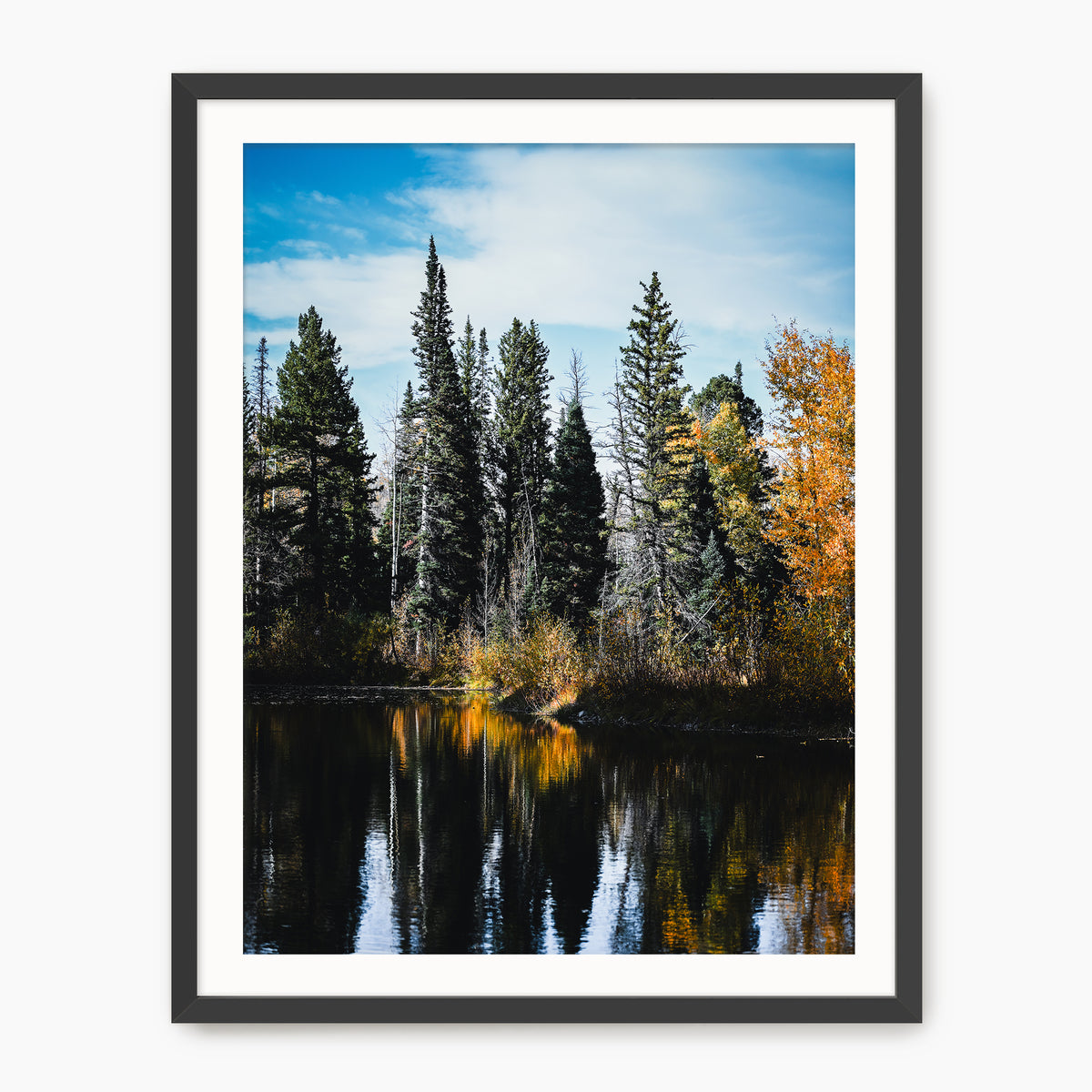 Serene Fall Photography - Sage and Rose Prints