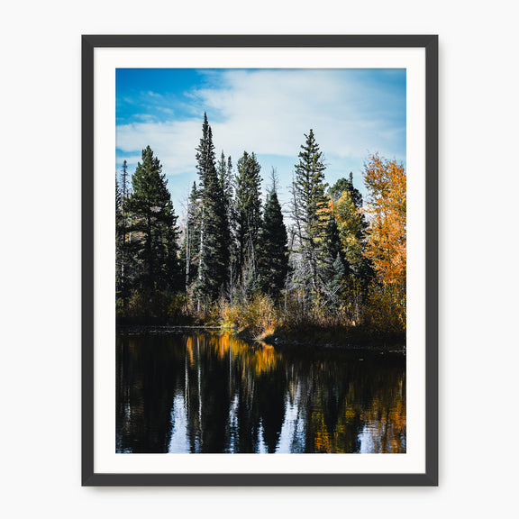 Serene Fall Photography - Sage and Rose Prints