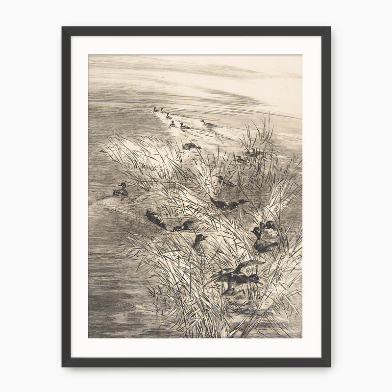 Vintage Ducks in the Grass Sketch C - Sage and Rose Prints
