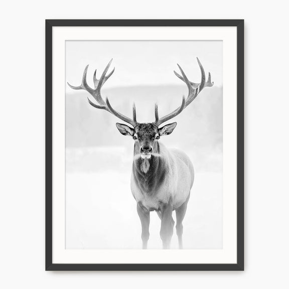 Deer in Winter Black and White Photo - Sage and Rose Prints