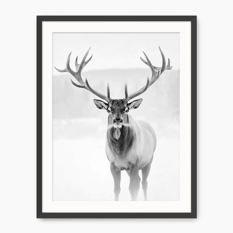 Deer in Winter Black and White Photo - Sage and Rose Prints