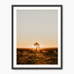 Desert Rising - Sage and Rose Prints