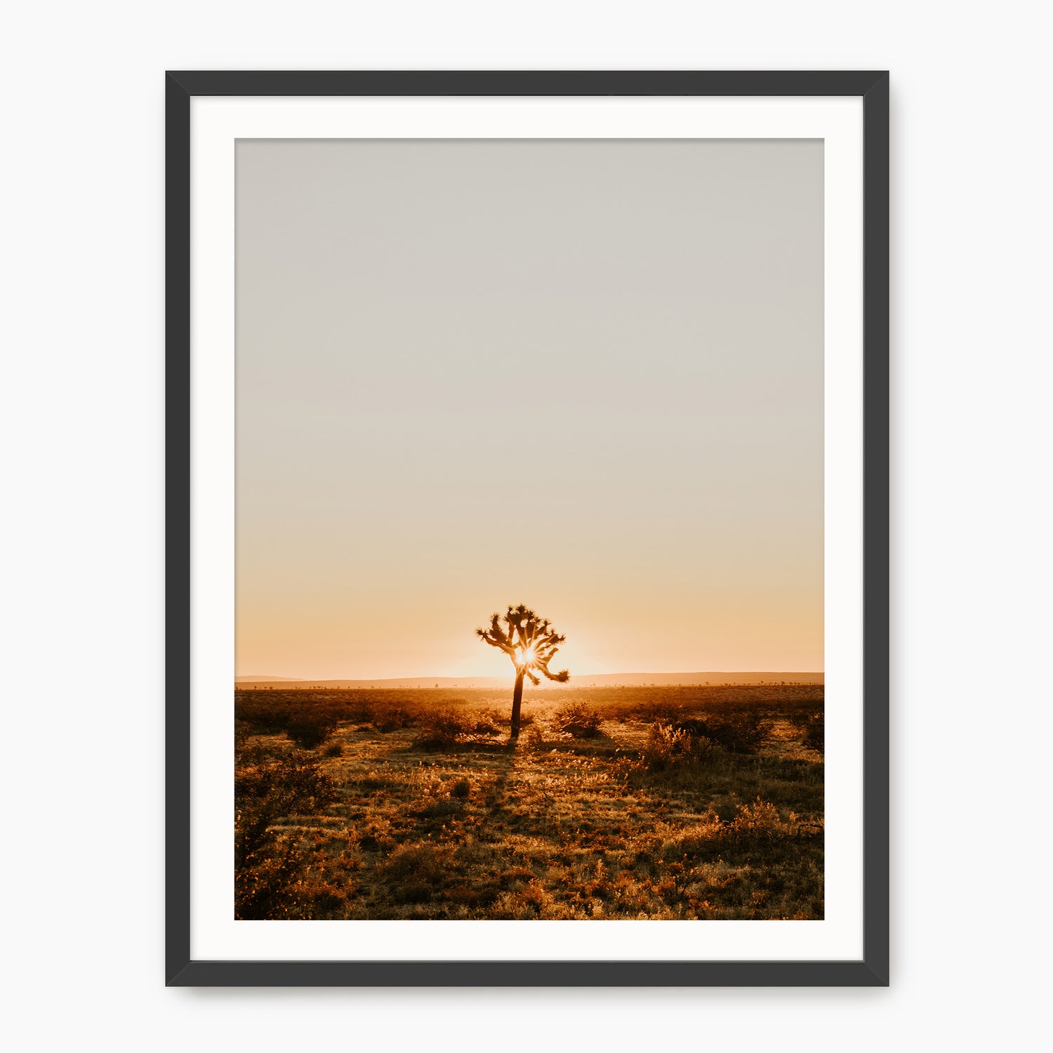 Desert Rising - Sage and Rose Prints