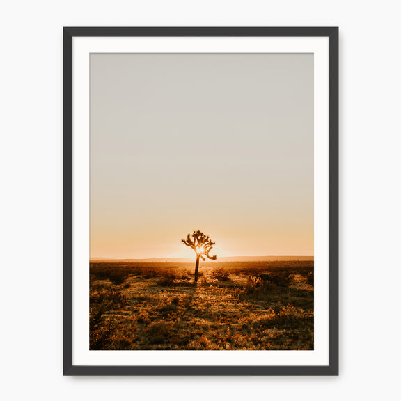 Desert Rising - Sage and Rose Prints