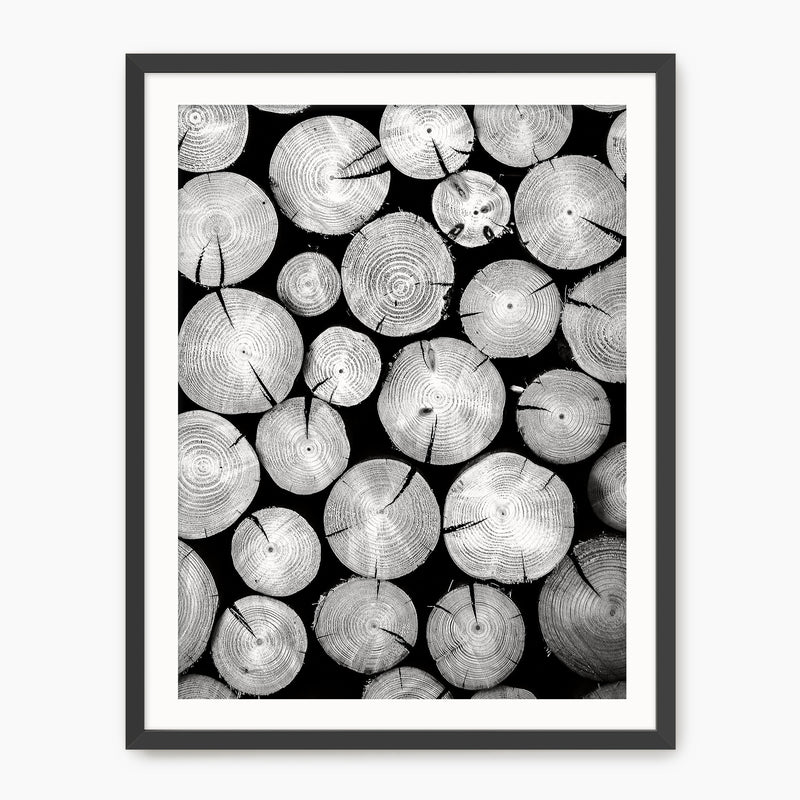 Black and White Cut Logs Photo - Sage and Rose Prints