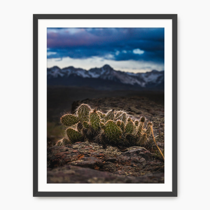 Desert Meets Mountain Photography - Sage and Rose Prints