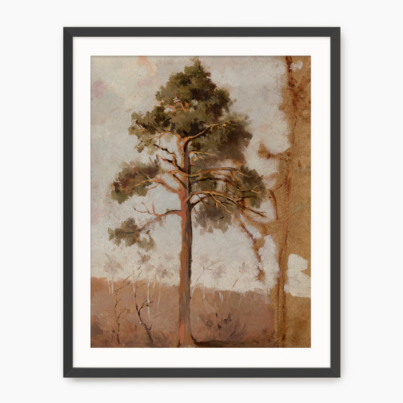 Tree in the Evening Sunlight - Sage and Rose Prints