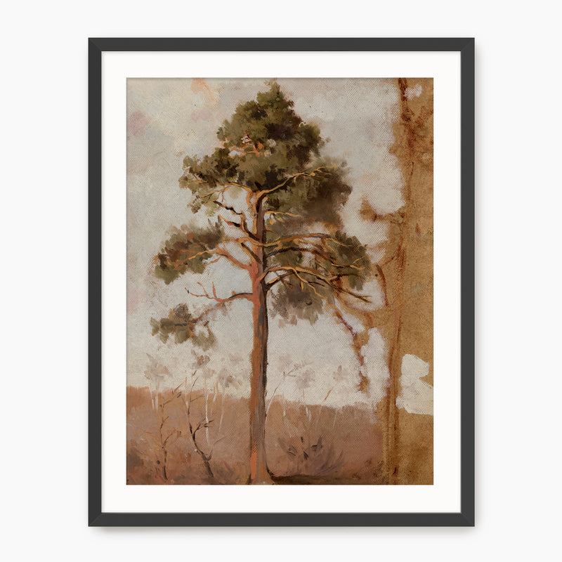 Tree in the Evening Sunlight - Sage and Rose Prints