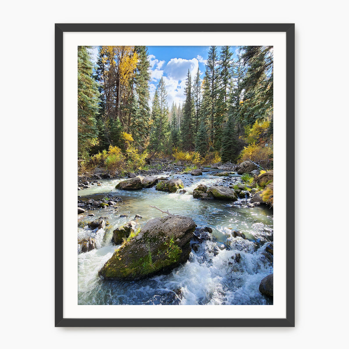 Creek in Fall Photography - Sage and Rose Prints