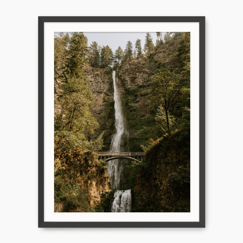 Multnomah Falls - Sage and Rose Prints