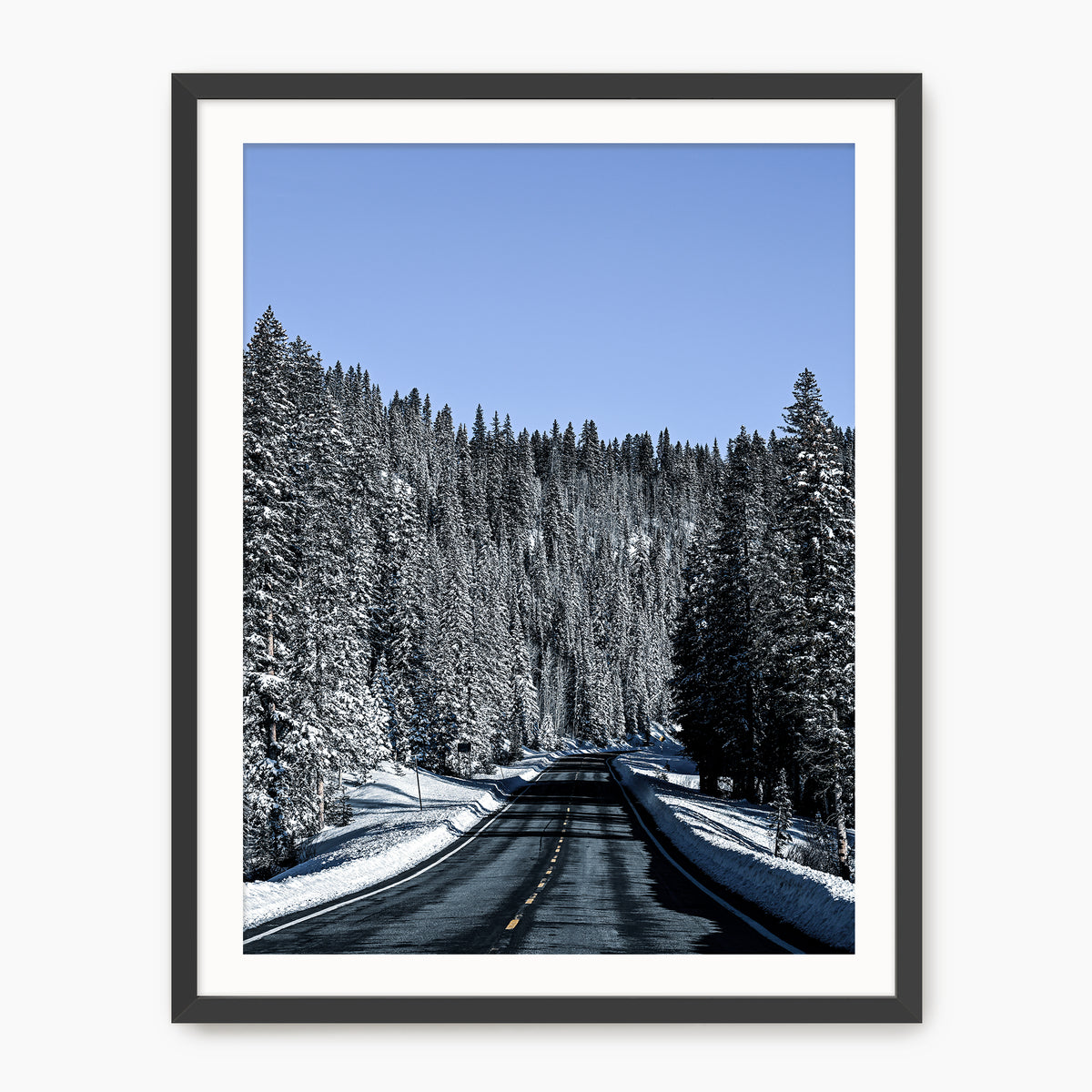 Winter Landscape Photography - Sage and Rose Prints