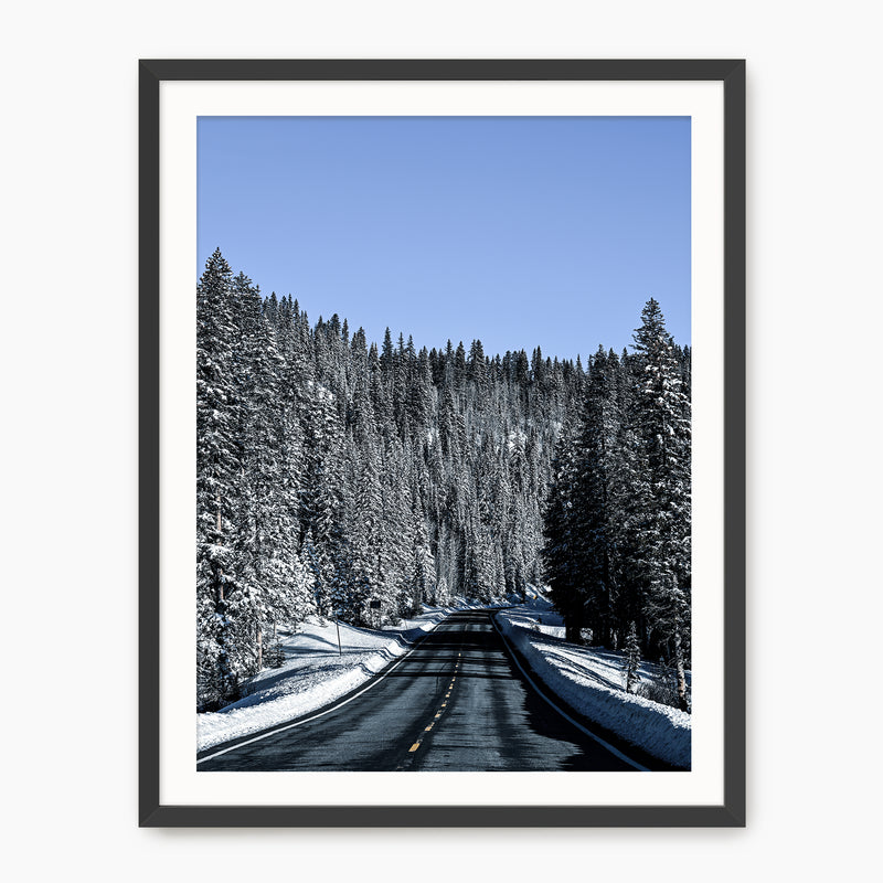 Winter Landscape Photography - Sage and Rose Prints