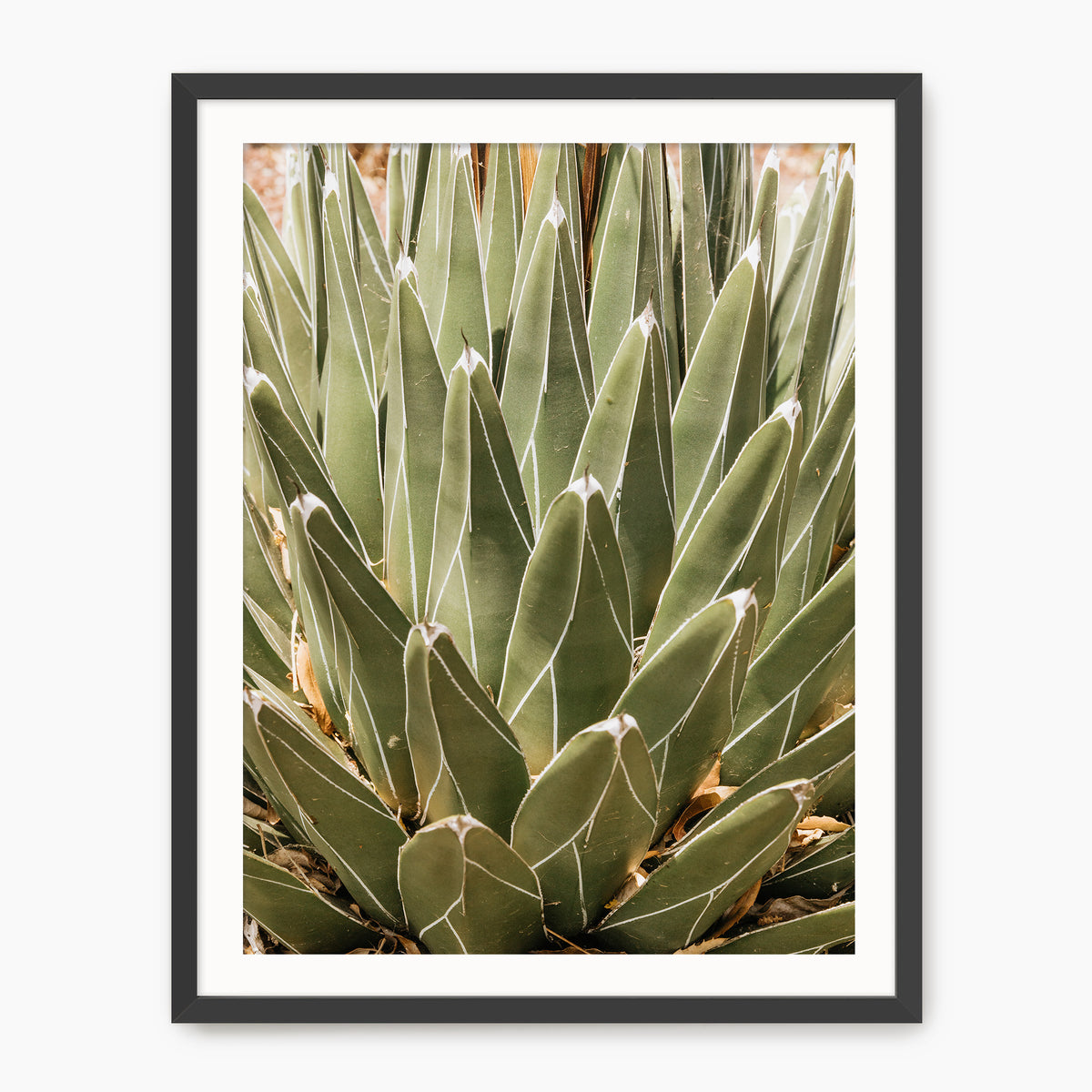 Nature's Armor - Sage and Rose Prints