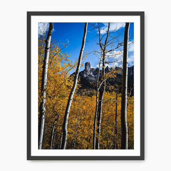 Fall Mountain Photograph - Sage and Rose Prints