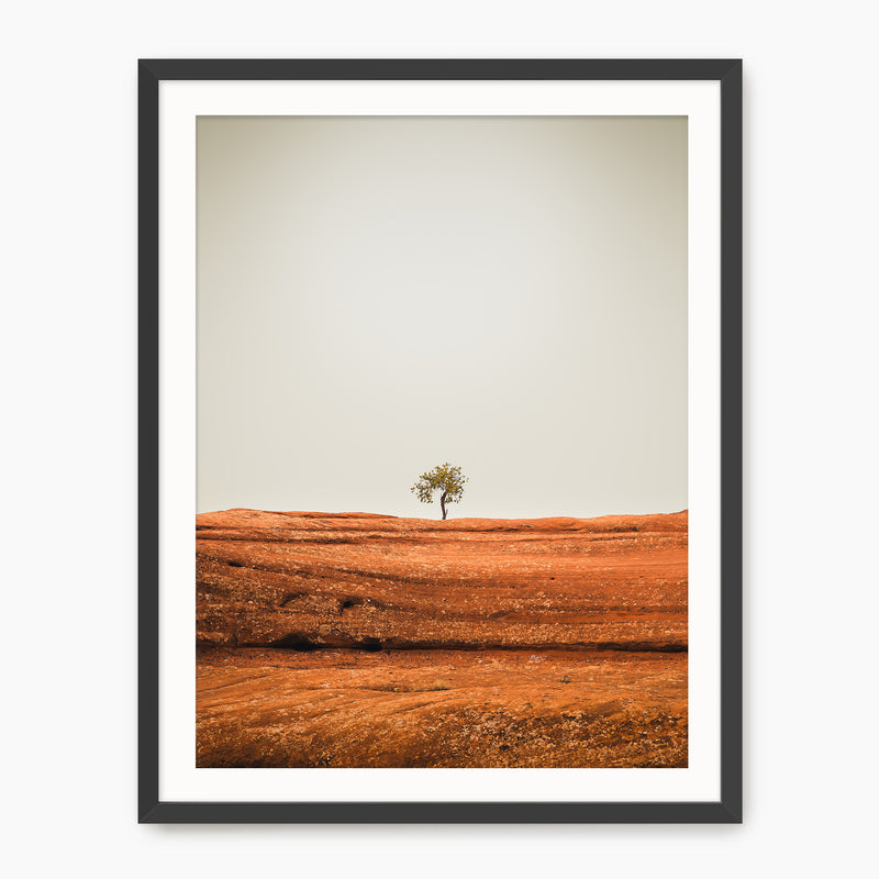 Minimal Tree Photography - Sage and Rose Prints