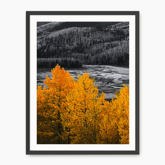 Fall Mountain Colors - Sage and Rose Prints
