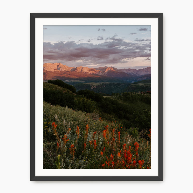 Telluride Mountain Sunset - Sage and Rose Prints