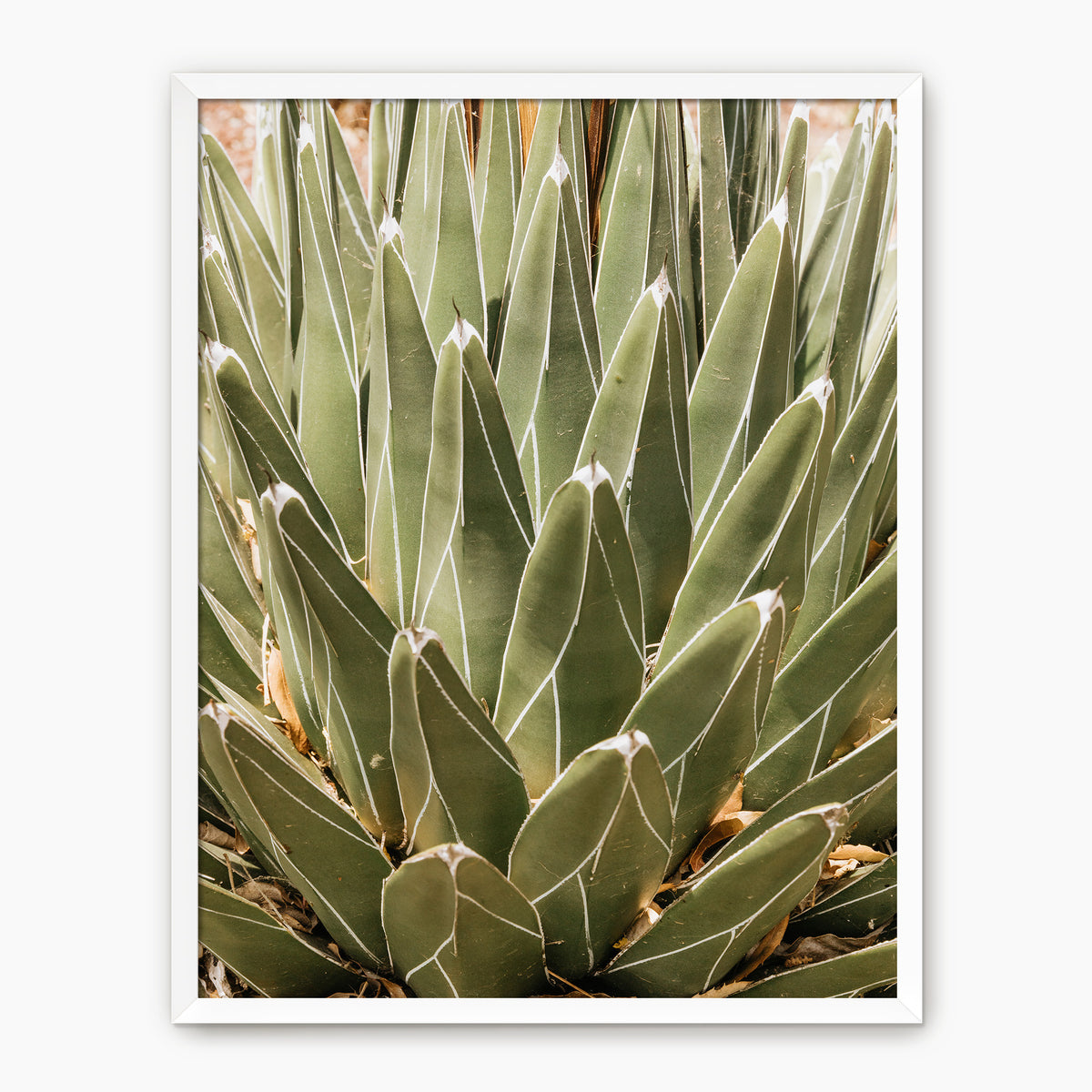 Nature's Armor - Sage and Rose Prints