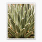 Nature's Armor - Sage and Rose Prints