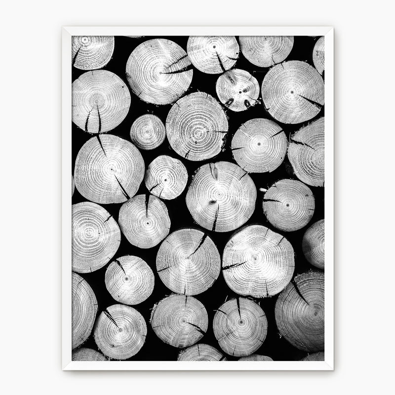 Black and White Cut Logs Photo - Sage and Rose Prints