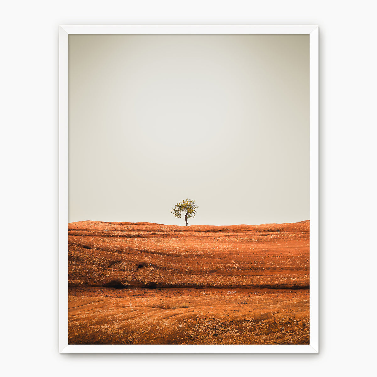 Minimal Tree Photography - Sage and Rose Prints