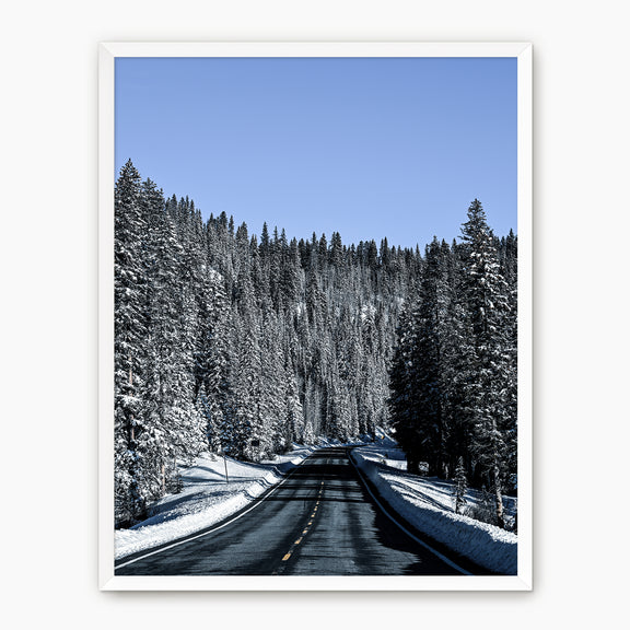 Winter Landscape Photography - Sage and Rose Prints