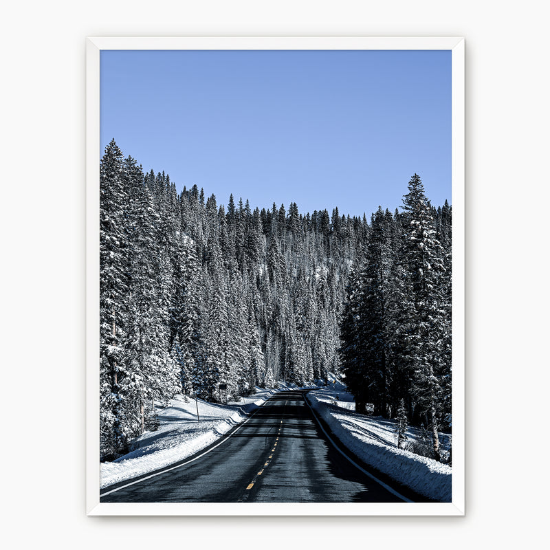 Winter Landscape Photography - Sage and Rose Prints