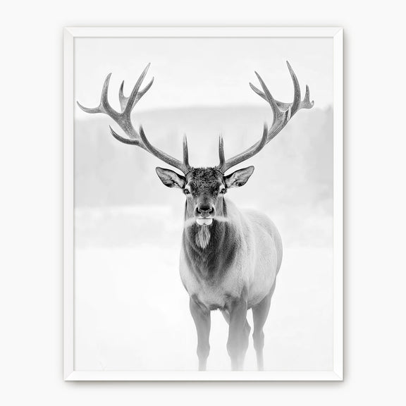 Deer in Winter Black and White Photo - Sage and Rose Prints