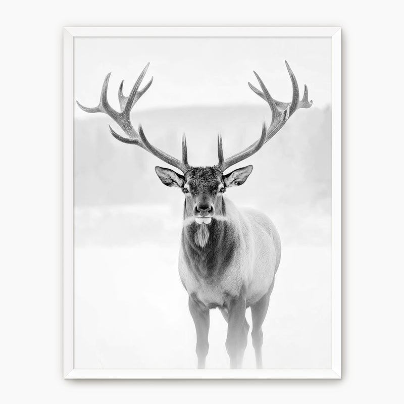 Deer in Winter Black and White Photo - Sage and Rose Prints