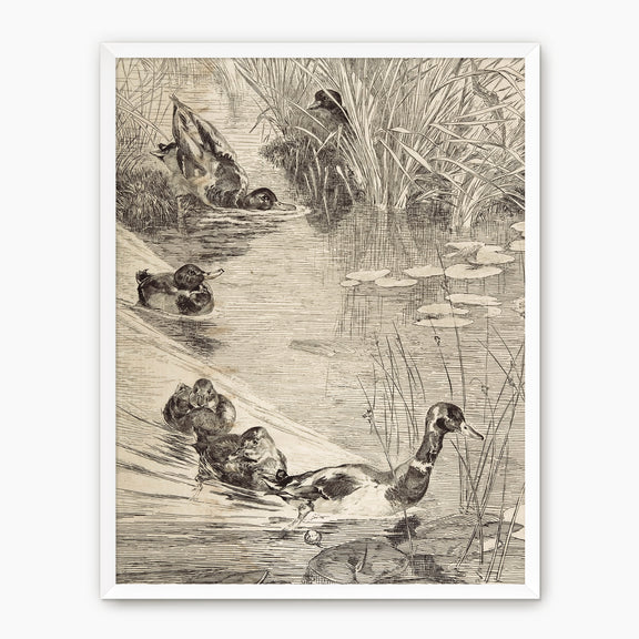 Vintage Ducks on the Pond Sketch - Sage and Rose Prints