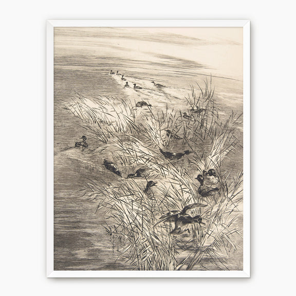 Vintage Ducks in the Grass Sketch C - Sage and Rose Prints