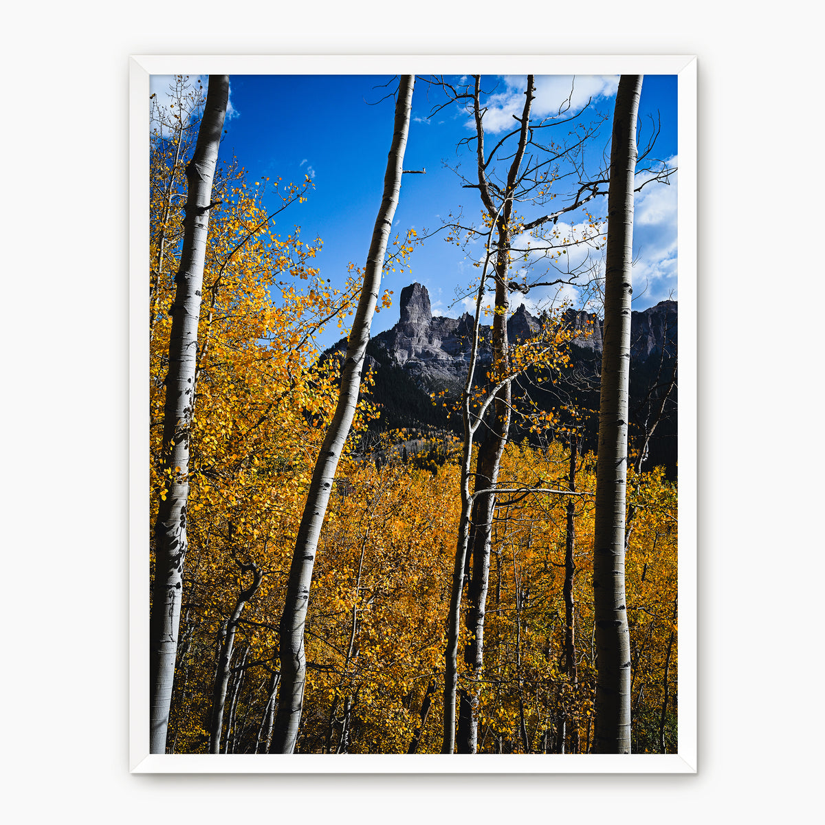 Fall Mountain Photograph - Sage and Rose Prints