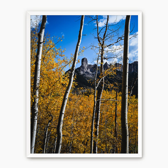 Fall Mountain Photograph - Sage and Rose Prints
