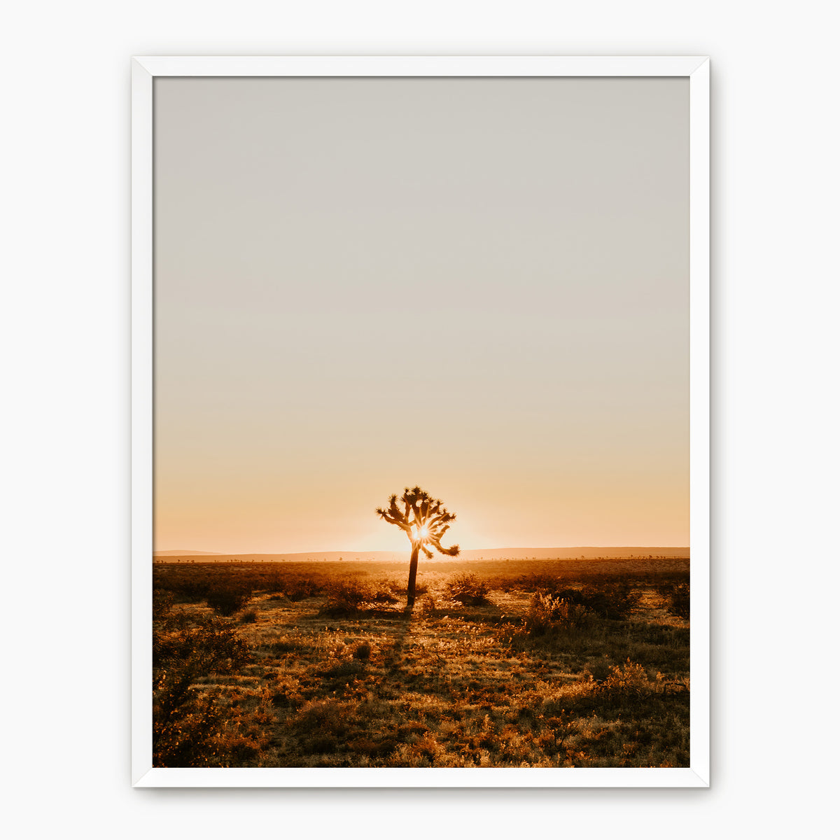 Desert Rising - Sage and Rose Prints