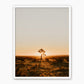 Desert Rising - Sage and Rose Prints